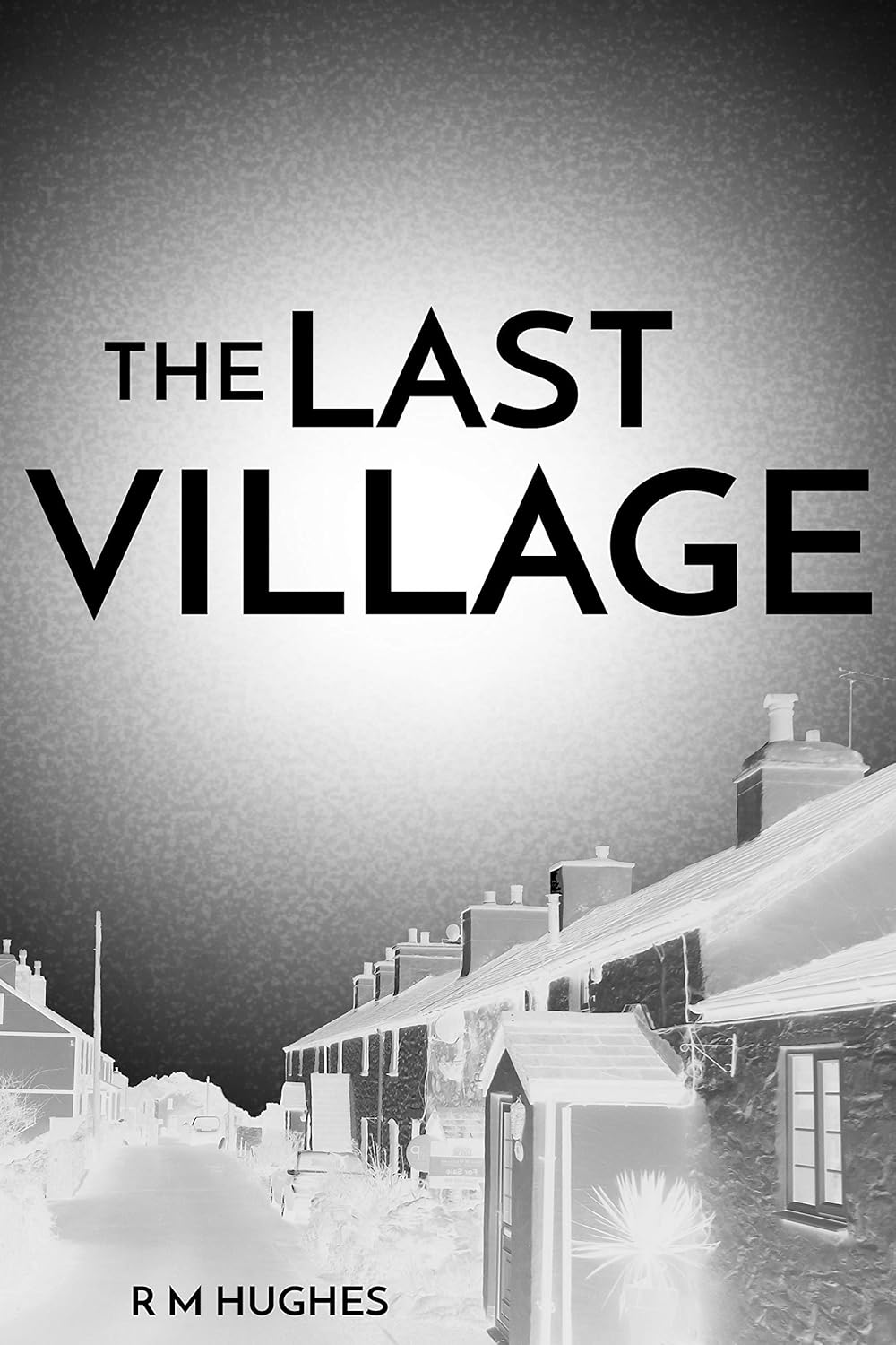 Book art cover for The Last Village. A black and white image of a street of terraced houses.